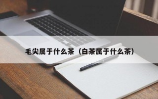 毛尖属于什么茶（白茶属于什么茶）