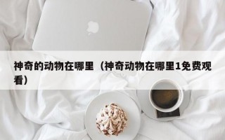 神奇的动物在哪里（神奇动物在哪里1免费观看）