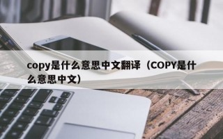 copy是什么意思中文翻译（COPY是什么意思中文）