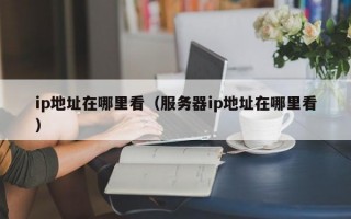 ip地址在哪里看（服务器ip地址在哪里看）