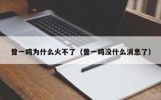 曾一鸣为什么火不了（曾一鸣没什么消息了）