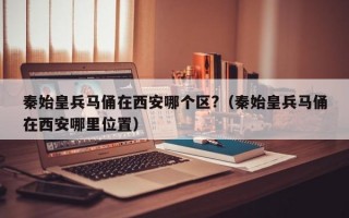 秦始皇兵马俑在西安哪个区?（秦始皇兵马俑在西安哪里位置）