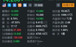 大全新能源跌超6% Q2营收远逊预期 下调全年产量预期