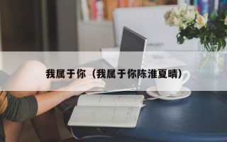 我属于你（我属于你陈淮夏晴）