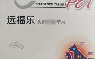 世界上最小的猫希德(世界最小的猫咪长什么样子呢)