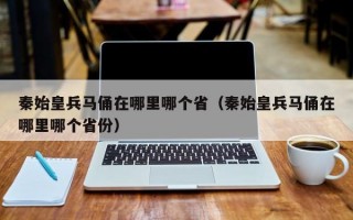 秦始皇兵马俑在哪里哪个省（秦始皇兵马俑在哪里哪个省份）