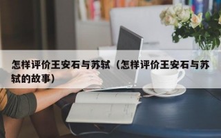 怎样评价王安石与苏轼（怎样评价王安石与苏轼的故事）