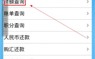 信用卡查询密码(信用卡查询密码忘了怎么办)