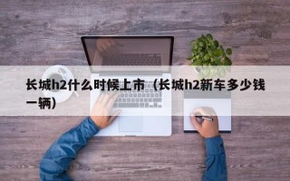 长城h2什么时候上市（长城h2新车多少钱一辆）