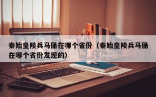 秦始皇陵兵马俑在哪个省份（秦始皇陵兵马俑在哪个省份发现的）