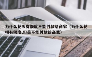 为什么花呗有额度不能付款给商家（为什么花呗有额度,但是不能付款给商家）