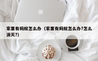 家里有蚂蚁怎么办（家里有蚂蚁怎么办?怎么消灭?）