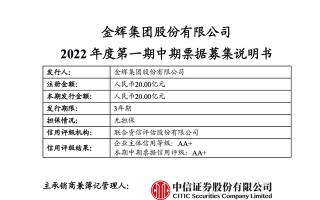 金辉集团注册发行20亿元中票：用于项目建设、购回及偿还债务