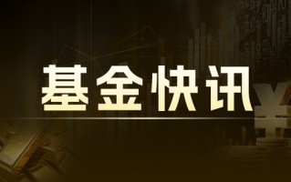 中欧价值智选混合A：净值下跌1.64%，近1个月收益率6.98%，规模达33.55亿元