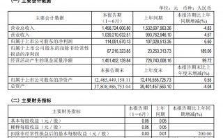 财报速递丨哈投股份上半年实现归母净利润1.14亿元 同比增长6.6%