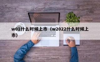 w01什么时候上市（w2022什么时候上市）