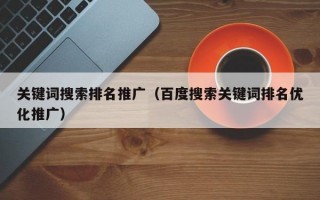 关键词搜索排名推广（百度搜索关键词排名优化推广）