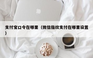 支付宝口令在哪里（微信指纹支付在哪里设置）