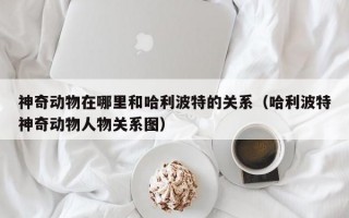 神奇动物在哪里和哈利波特的关系（哈利波特神奇动物人物关系图）