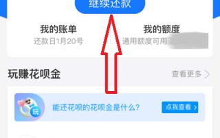 花呗分期后如何提前全部还款还清()