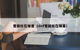 爱丽丝在哪里（dnf爱丽丝在哪里）