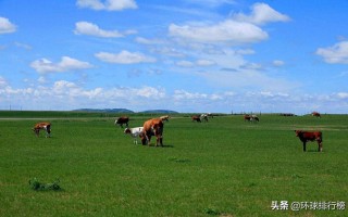 世界上最大的草原是(世界上最大的草原是什么原因)