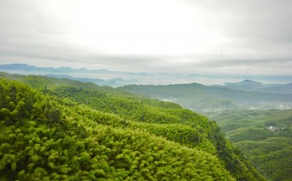 蜀南竹海在哪里(宜宾蜀南竹海在哪里)