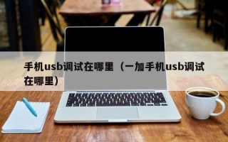 手机usb调试在哪里（一加手机usb调试在哪里）