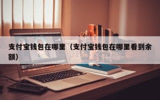 支付宝钱包在哪里（支付宝钱包在哪里看到余额）