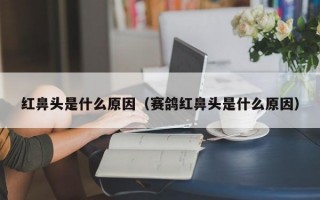 红鼻头是什么原因（赛鸽红鼻头是什么原因）