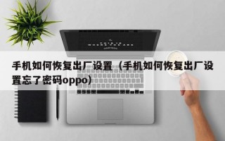 手机如何恢复出厂设置（手机如何恢复出厂设置忘了密码oppo）