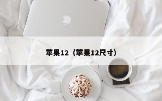 苹果12（苹果12尺寸）