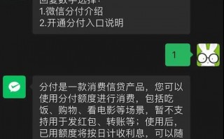 微信分付一次可以扫多少钱(分付要扫哪种二维码才能消费)