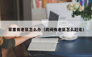 家里有老鼠怎么办（房间有老鼠怎么赶走）