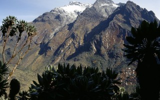 世界上长度最长的山系(世界最长的的山系)