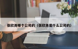 张欣尧哪个公司的（张欣尧是什么公司的）