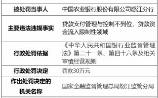 农业银行怒江分行、兰坪白族普米族自治县支行共计被罚50万元：违规发放虚假按揭贷款等