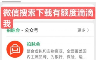 拍脉会app无视黑白，不上征信秒出额度