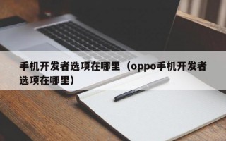 手机开发者选项在哪里（oppo手机开发者选项在哪里）