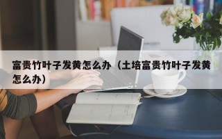 富贵竹叶子发黄怎么办（土培富贵竹叶子发黄怎么办）