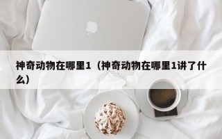 神奇动物在哪里1（神奇动物在哪里1讲了什么）