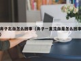 鼻子出血怎么回事（鼻子一直流血是怎么回事）