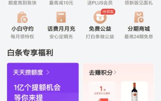 京东白条上征信(京东白条上征信显示是哪个金融公司)