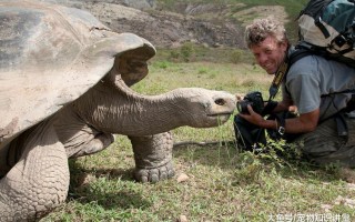 世界上最长寿的10种生物(世界上最长寿的10种生物排名)