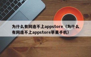 为什么有网连不上appstore（为什么有网连不上appstore苹果手机）