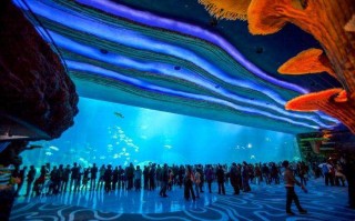 世界上最大的水族馆在哪里(世界上最大的水族博物馆)