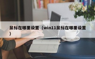 鼠标在哪里设置（win11鼠标在哪里设置）