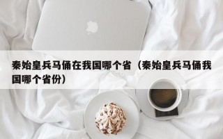 秦始皇兵马俑在我国哪个省（秦始皇兵马俑我国哪个省份）