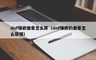 dnf镶嵌徽章怎么弄（dnf镶嵌的徽章怎么获得）