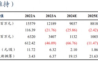 【东吴电新】永兴材料2024年业绩预告点评：Q4业绩符合预期，成本优势显著